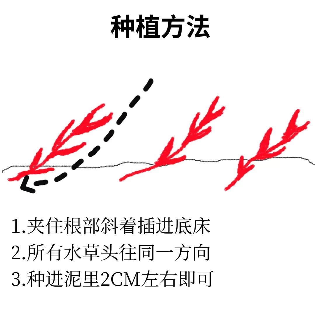 99-Rsources/Assets/368cdee6a9f2f27a22950af10ae5735.jpg